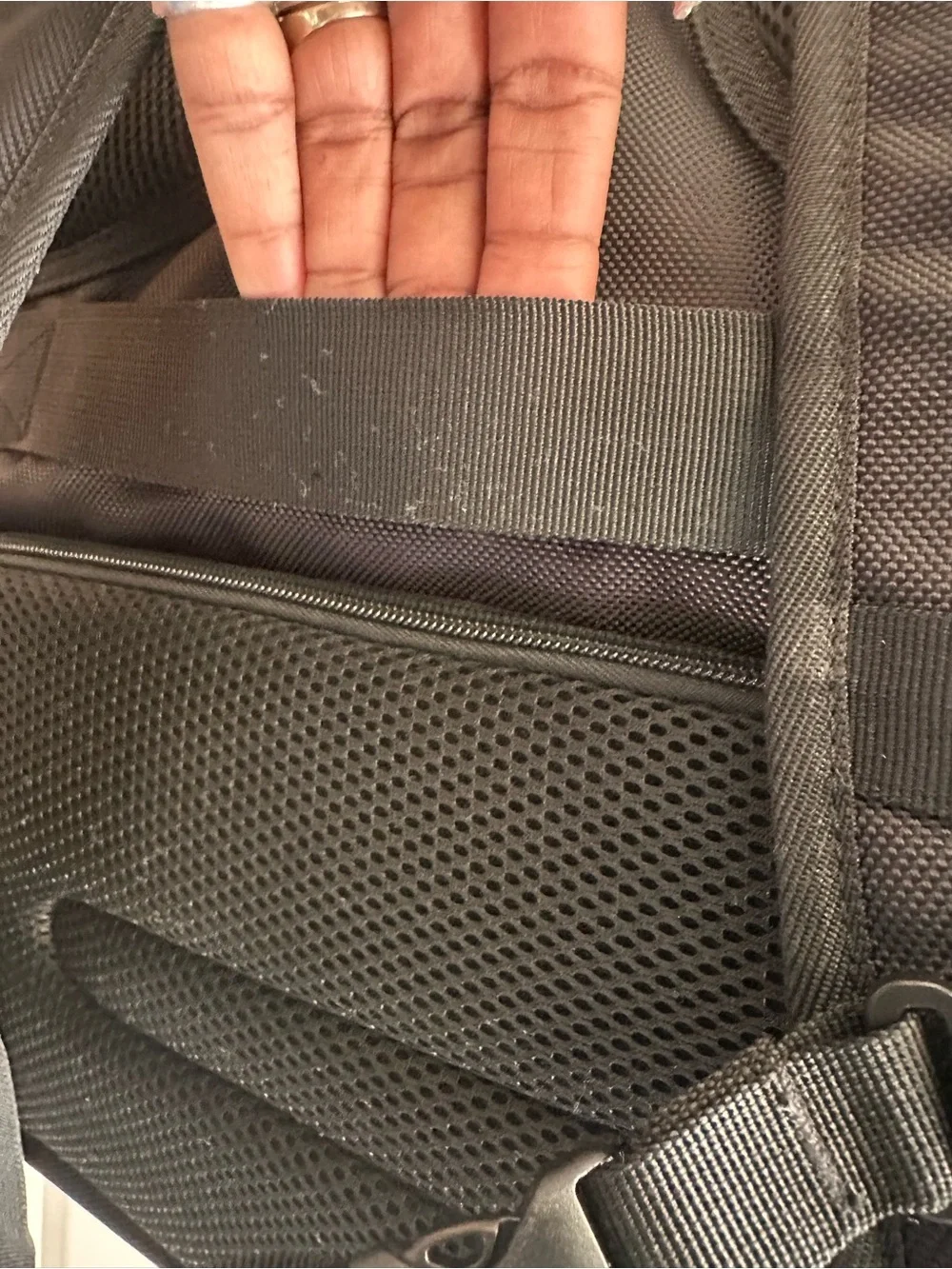 Black Travel lunch bag Backpack with White Trim